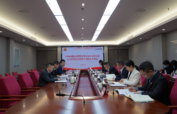 尊龙凯时集团党委书记、董事长任丁出席安逸酒店集团2022年度党员领导干部民主生活会